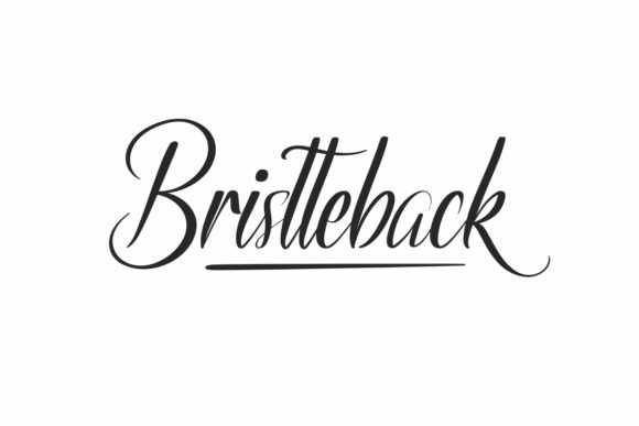 Bristteback: A Script Font with Character