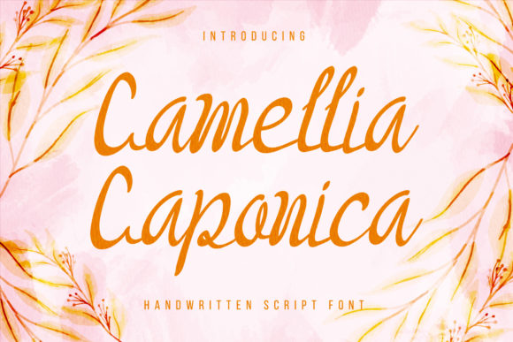 Camellia Caponica: A Versatile Script Font