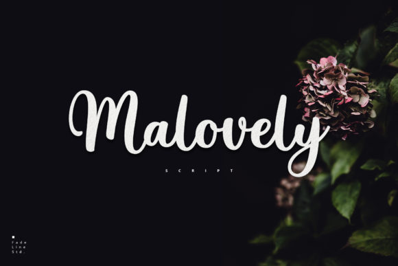 Discover Malovely: A Graceful Handwritten Font for Branding