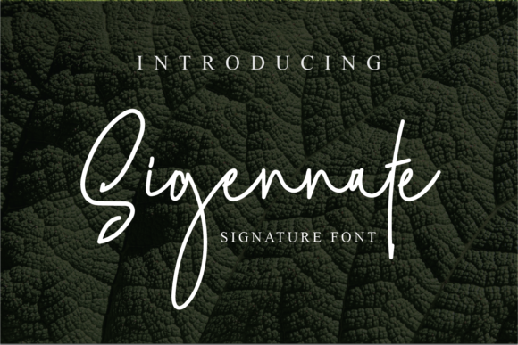 Enhance Your Campaigns with Sigennate Font