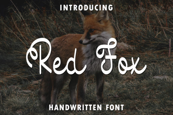 Red Fox: The Handwritten Font for Engaging Visuals