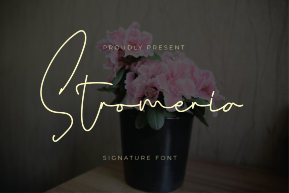 Stromeria: A Charming Script Font for Handmade Creations